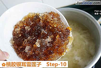 桃胶银耳雪莲子做法第十步骤