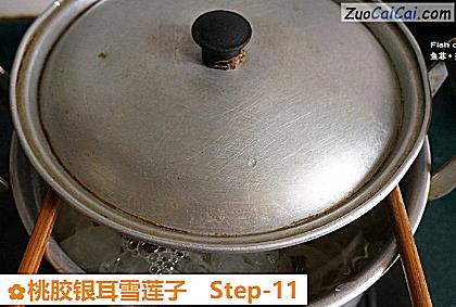 桃胶银耳雪莲子做法第十一步骤