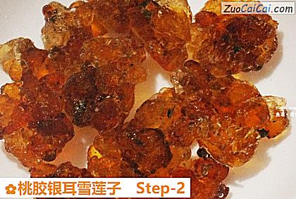 桃胶银耳雪莲子做法第二步骤