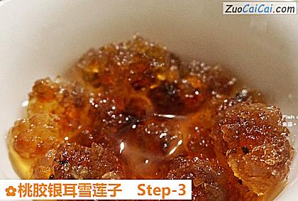桃胶银耳雪莲子做法第三步骤