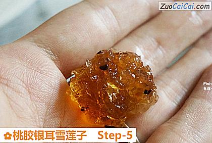 桃胶银耳雪莲子做法第五步骤