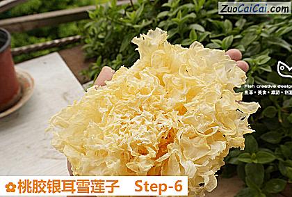 桃胶银耳雪莲子做法第六步骤