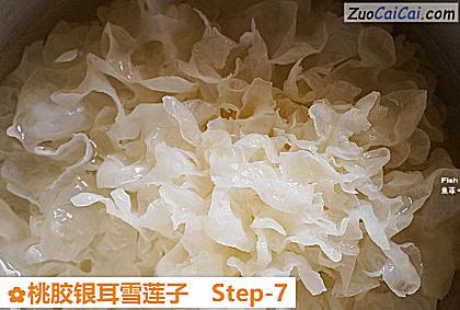 桃胶银耳雪莲子做法第七步骤