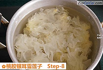 桃胶银耳雪莲子做法第八步骤