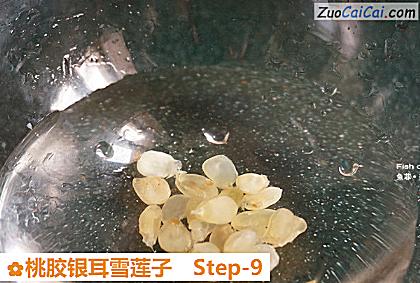 桃胶银耳雪莲子做法第九步骤