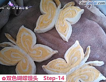 双色蝴蝶馒头做法第十四步骤