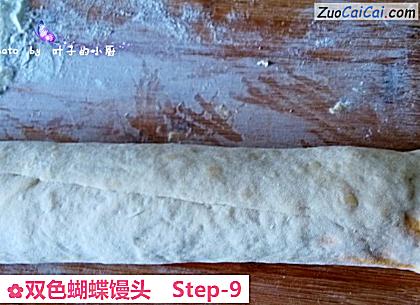 双色蝴蝶馒头做法第九步骤