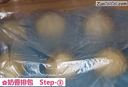 奶香排包做法第三步骤