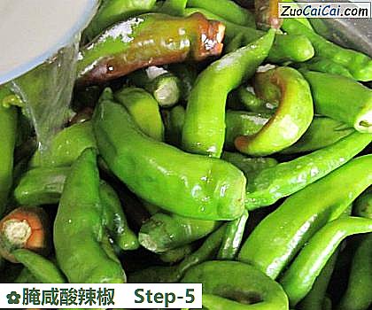 腌咸酸辣椒做法第五步骤