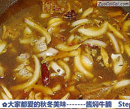 -酱焖牛腩做法第十步骤