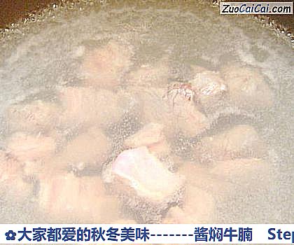 -酱焖牛腩做法第二步骤