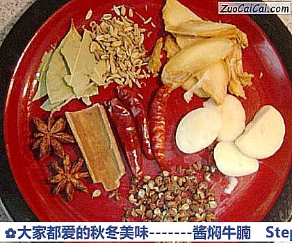 -酱焖牛腩做法第三步骤