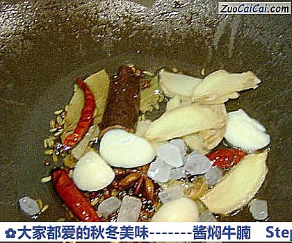 -酱焖牛腩做法第五步骤