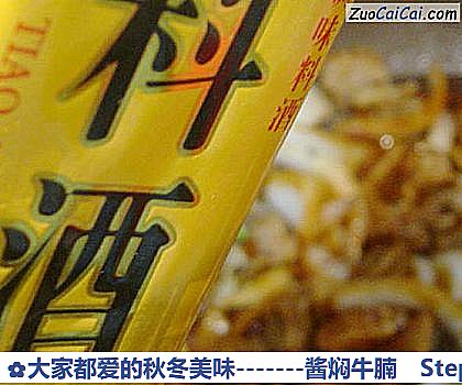 -酱焖牛腩做法第九步骤