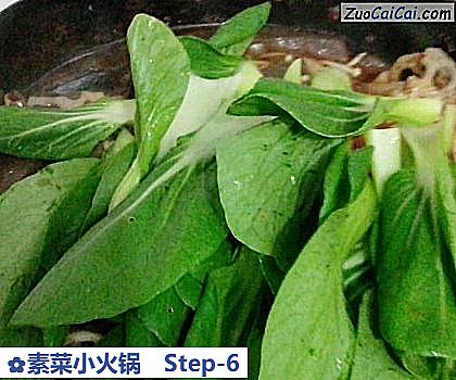 素菜小火锅做法第六步骤