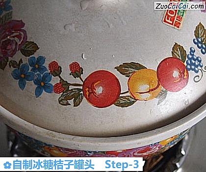 自制冰糖桔子罐头做法第三步骤