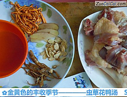 虫草花鸭汤做法第一步骤