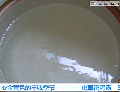 虫草花鸭汤做法第二步骤