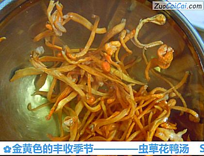 虫草花鸭汤做法第三步骤