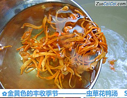 虫草花鸭汤做法第四步骤