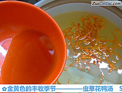 虫草花鸭汤做法第五步骤