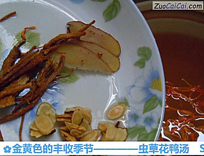 虫草花鸭汤做法第六步骤