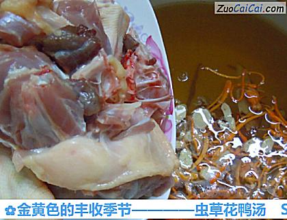 虫草花鸭汤做法第七步骤