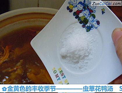 虫草花鸭汤做法第八步骤