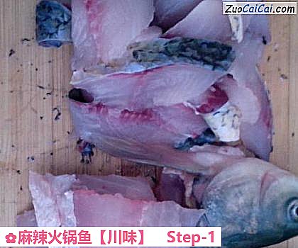 麻辣火锅鱼做法第一步骤