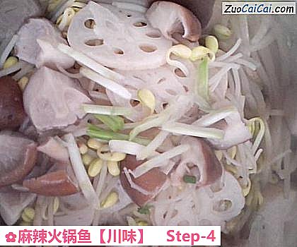 麻辣火锅鱼做法第四步骤
