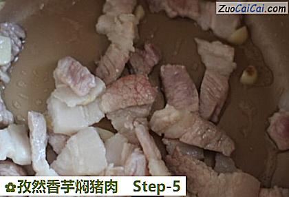 孜然香芋焖猪肉做法第五步骤