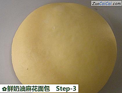 鲜奶油麻花面包做法第三步骤