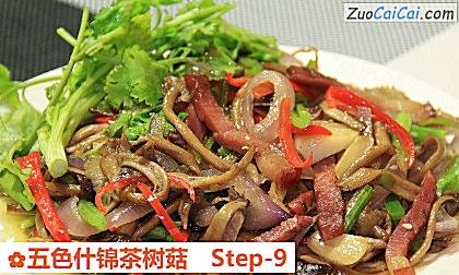 五色什锦茶树菇做法第九步骤