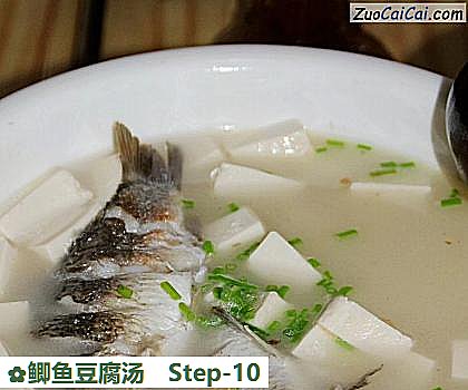 鲫鱼豆腐汤做法第十步骤