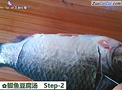 鲫鱼豆腐汤做法第二步骤