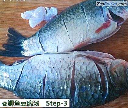 鲫鱼豆腐汤做法第三步骤