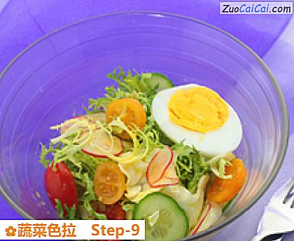 蔬菜色拉做法第九步骤