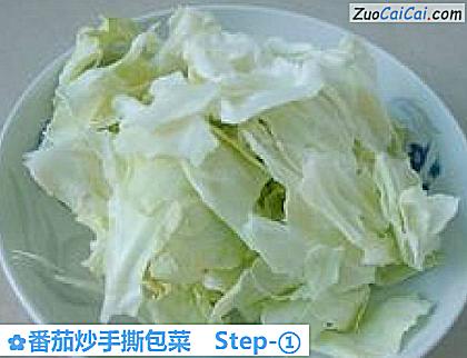 番茄炒手撕包菜做法第一步骤