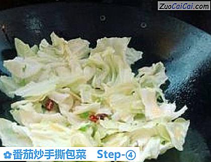 番茄炒手撕包菜做法第四步骤