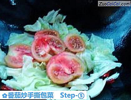 番茄炒手撕包菜做法第五步骤
