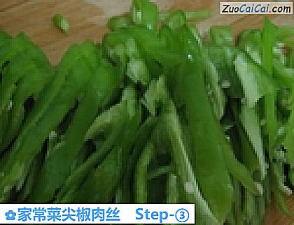 家常菜尖椒肉丝做法第三步骤