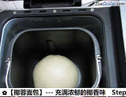 椰蓉面包做法第五步骤