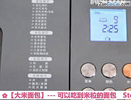 大米面包做法第四步骤