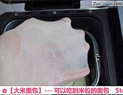 大米面包做法第五步骤