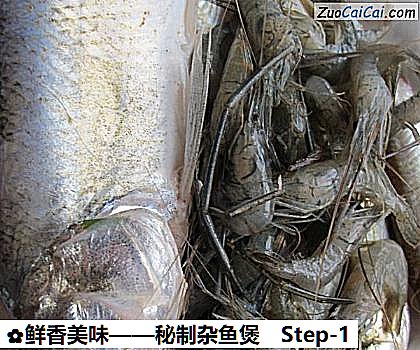 鲜香美味——秘制杂鱼煲做法第一步骤
