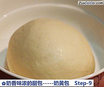 奶香味浓的甜包－奶黄包做法第九步骤