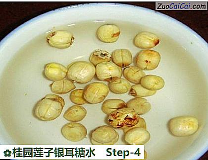 桂园莲子银耳糖水做法第四步骤