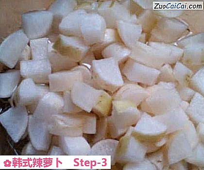 韩式辣萝卜做法第三步骤