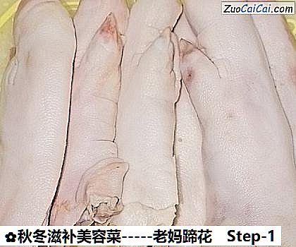 秋冬滋补美容菜－老妈蹄花做法第一步骤