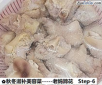 秋冬滋补美容菜－老妈蹄花做法第六步骤